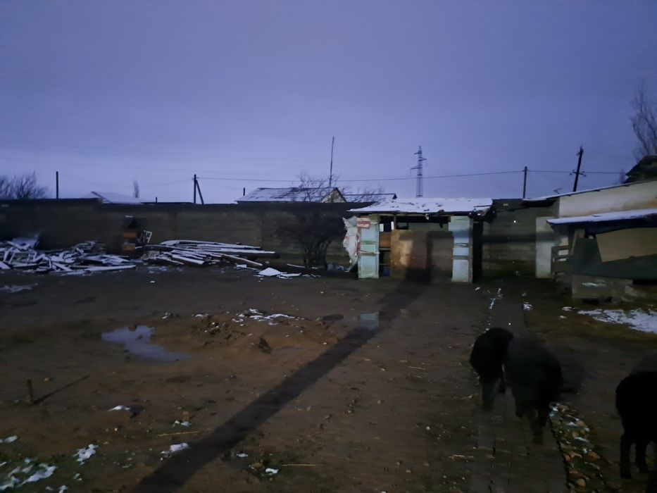 Кибрай Ок олтин срочна