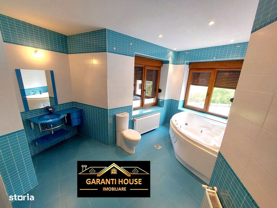 Valea Borcutului, casa de inchiriat, 450 mp, mobilata, 1500€/Luna