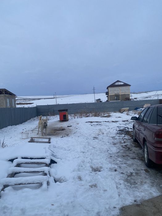 Продам времянку, Райымбек