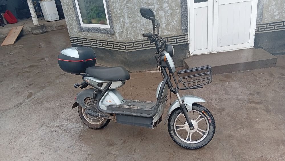 Електра мапет цкутир