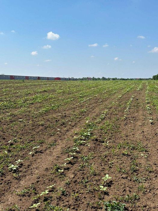 Vand teren extravilan Afumati- Balta Batal