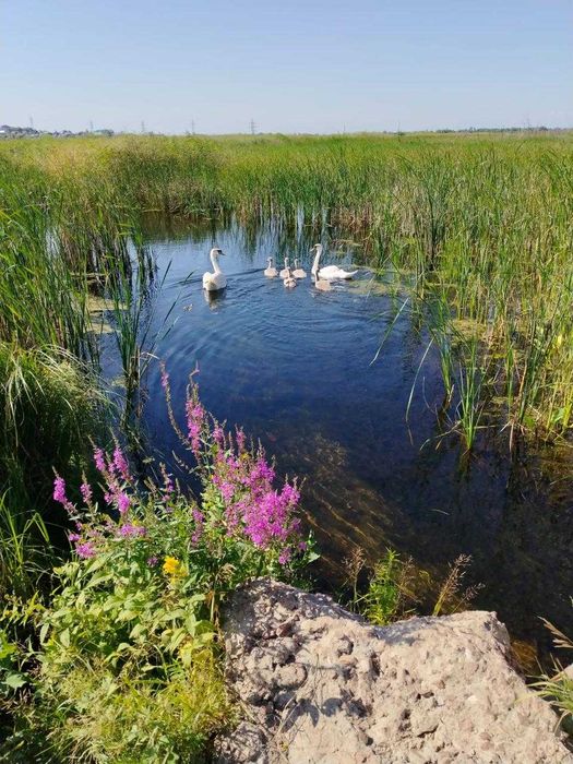 Дача на берегу Ишима