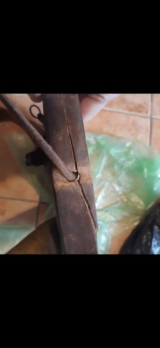 Trofeu vanatoare țap  pe panoplie cu decor