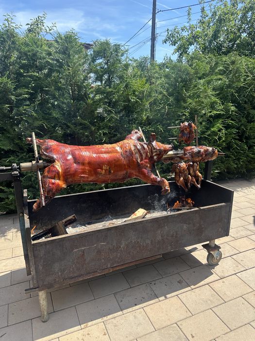 Porc , vitel si oaie facute la protap