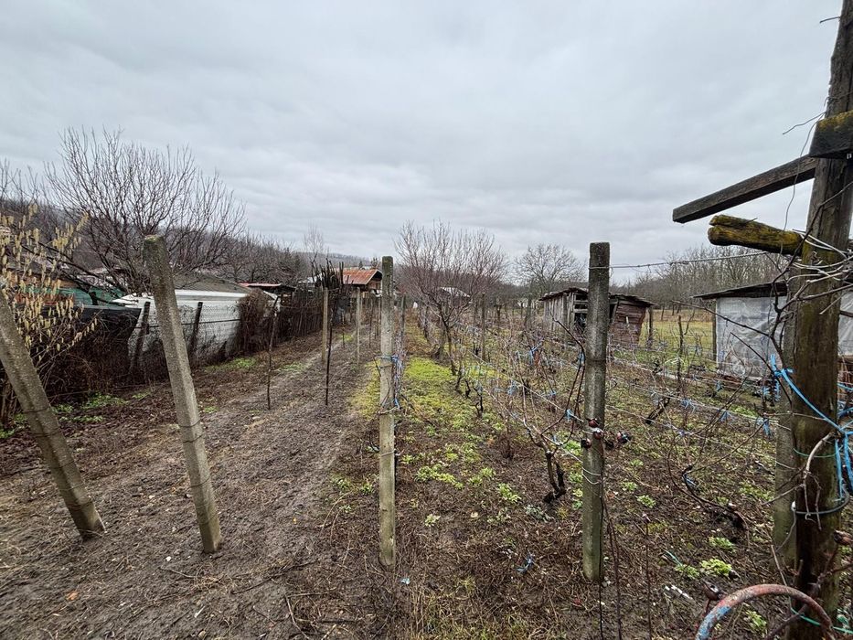 Teren+casa+teren agricol