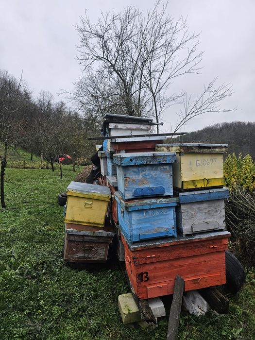 Vand cuti stupi diferite marimi