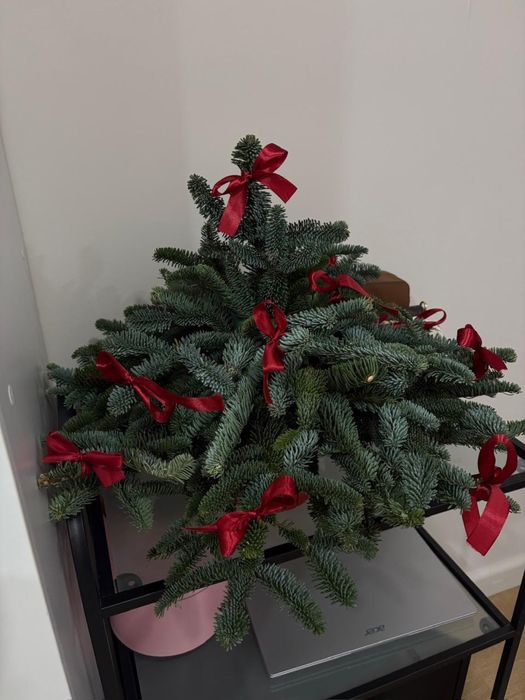 букет новогодний