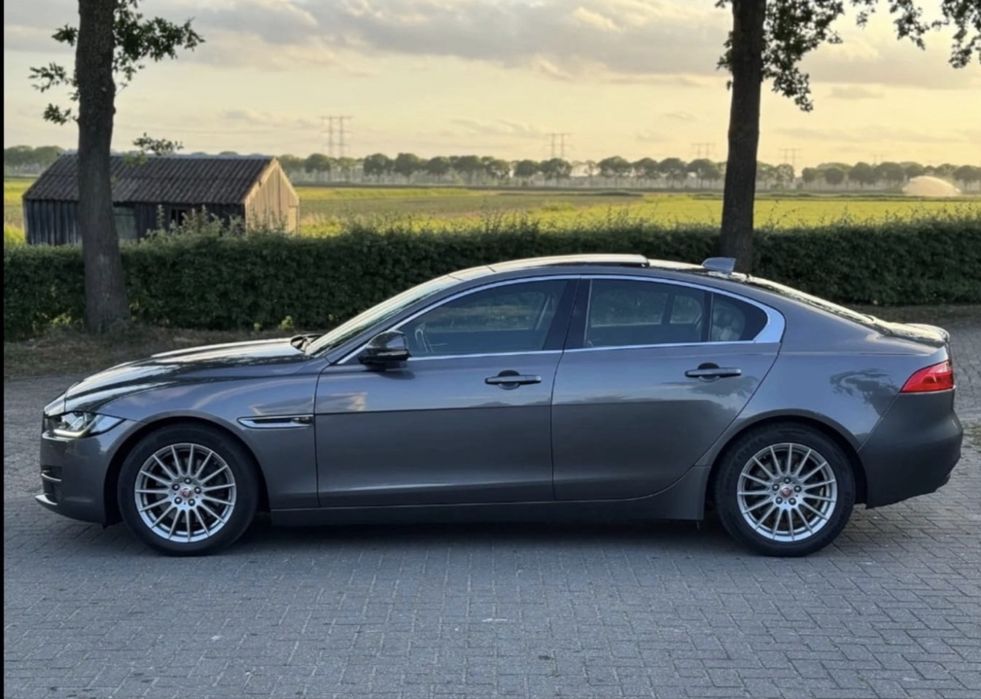 JAGUAR XE 2018 — imagine 3