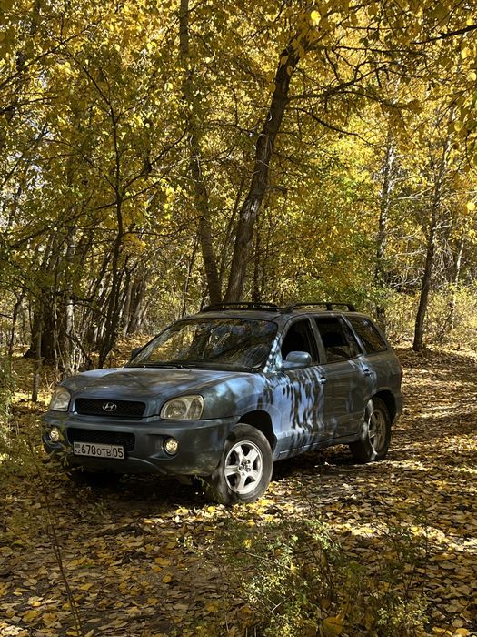 Продам Hyundai Santafe 2003