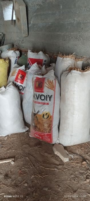 Самон халталик 15000