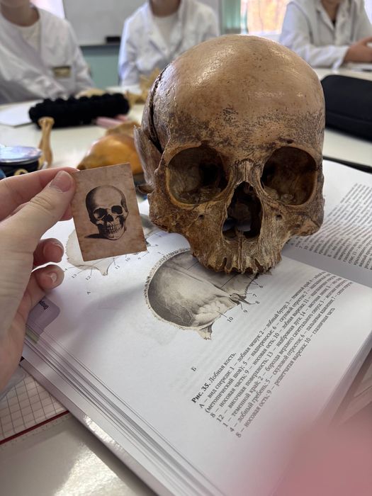 Репетитор по Анатомии и Общей патологии