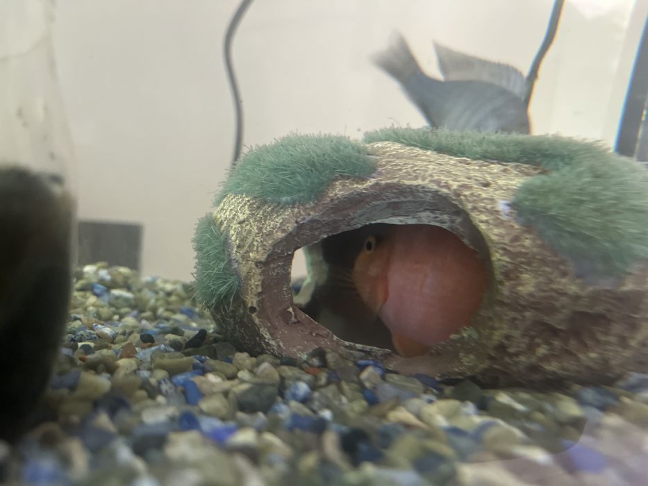 Аквариум 90л комплект