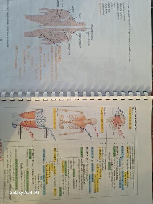 Meditații Biologie cu Profesor- Experiență 20 ani, fizic sau online / Admitere Medicină și BAC