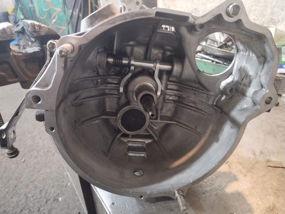 Дамас каропка заднимост бор