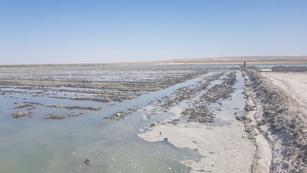 Ер ижарага берилади