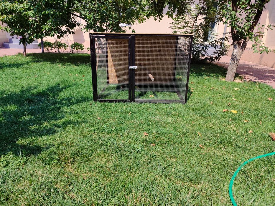 Sifati yaxshi kelishtirib beramiz.  На заказ