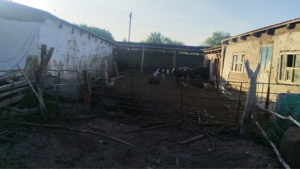 Продам откорм базу