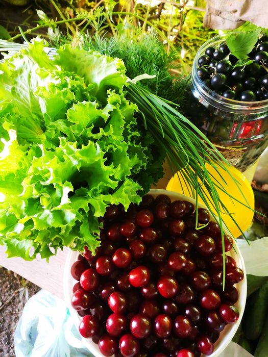 Продам вишню, зелень, огурцы дачные