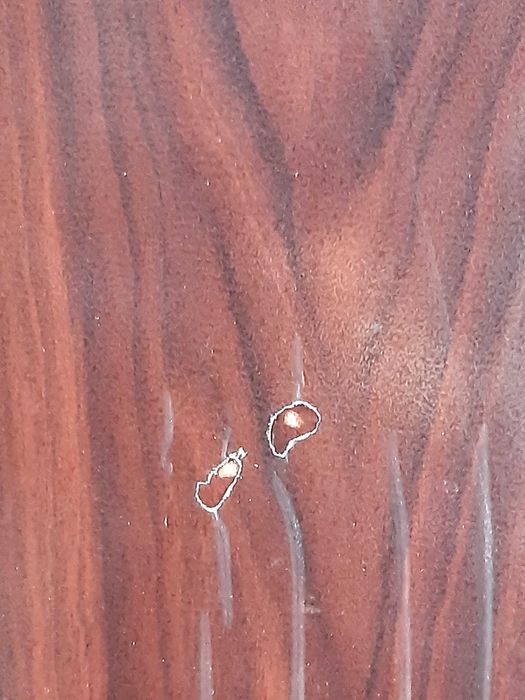 Метална двукрила врата - Нова с лек фабричен дефект