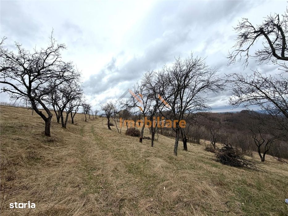 Teren 34.000 Mp | Serani Bihor