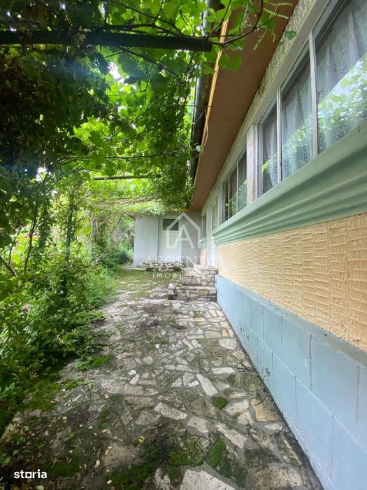 Domeniu 15.900 mp în Fințești | Casă + Investiție Dealu Mare