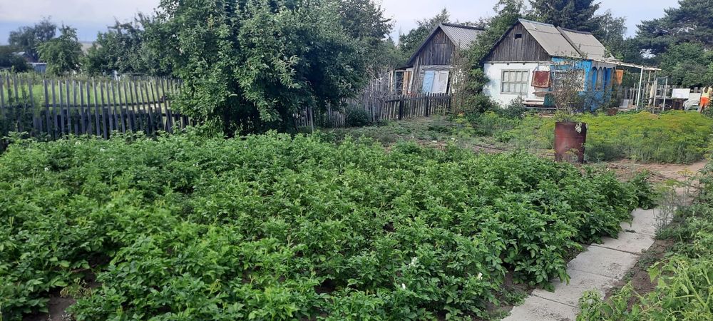 Продам дачу сад Здоровье