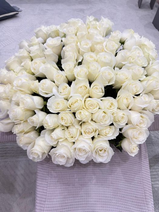 101 белые розы