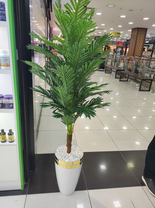 Искусственный  палма