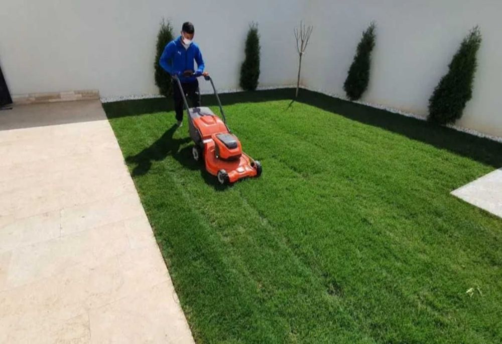 Amenajare gradina gazon rulou si plante ornamentale