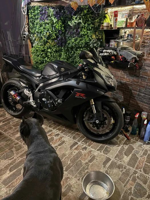 SUZUKI GSXR 600 - 2010