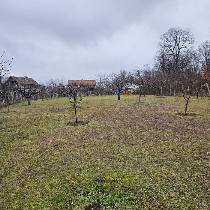 ВИЛЕН ИМОТ Врачански лозя,  м. Янкин връх