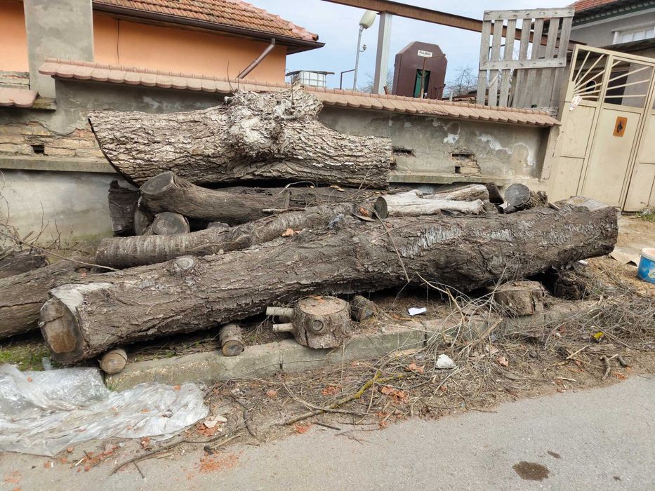 Трупи Дървен материал