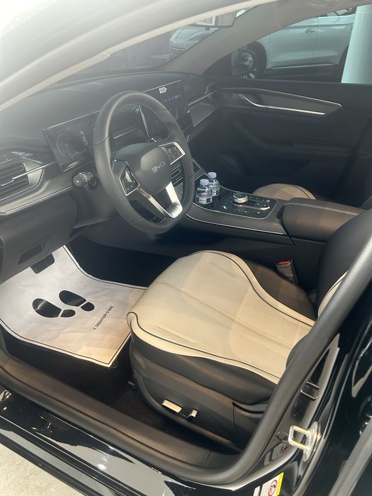 Byd chazor champion 55 active