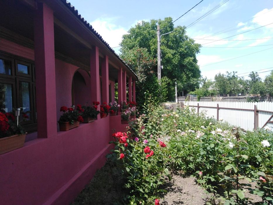 Casă la țară întreținută, 3 camere + teren generos – Trifești județul Iași