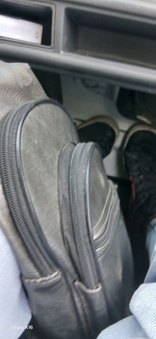 Даром даром даром кошка