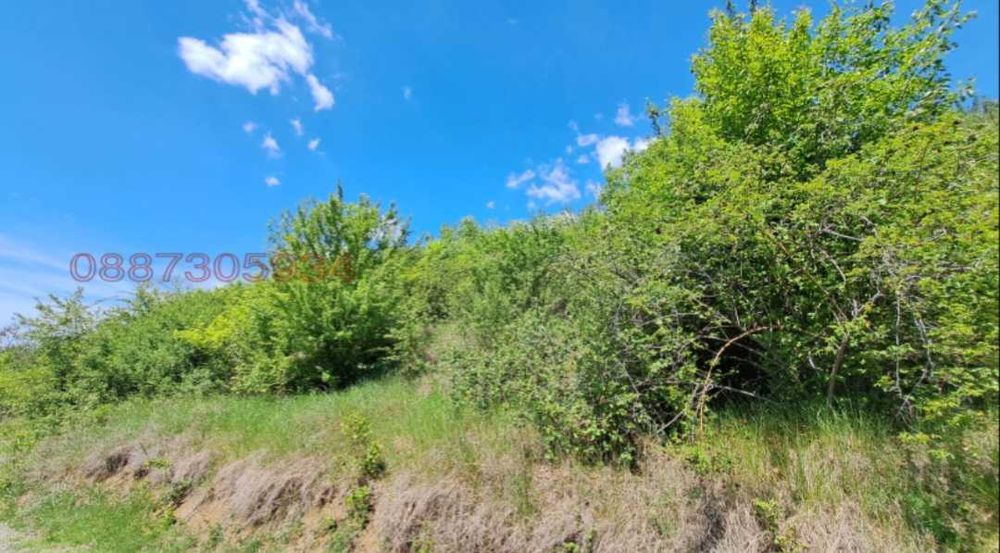 Продава се Парцел в София, Център - 808 кв.м за 75 €/кв.м - Снимка #1