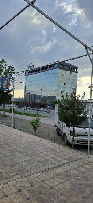 Сдаётся в аренду место под Аптеки.