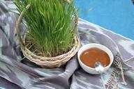 Буғдой (bug'doy) майса