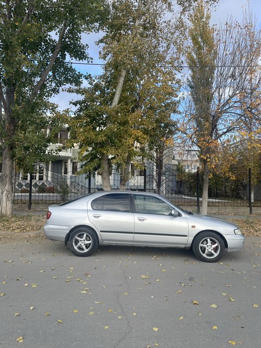 Nissan Primera P11
