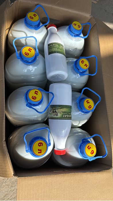 Нағыз қымыз шұбат оптом