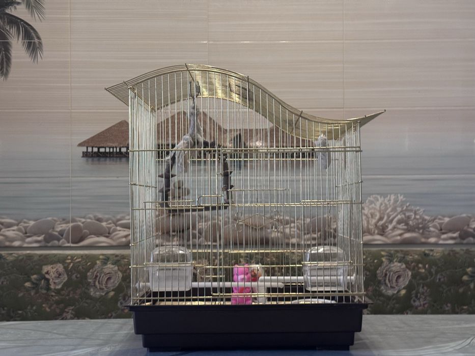 Клетка для попугаев ,сетка в подарок