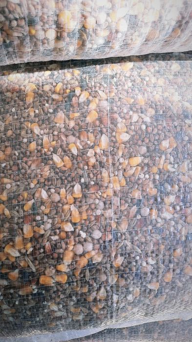 Amestec Porumbei/Top Mineral Mixt