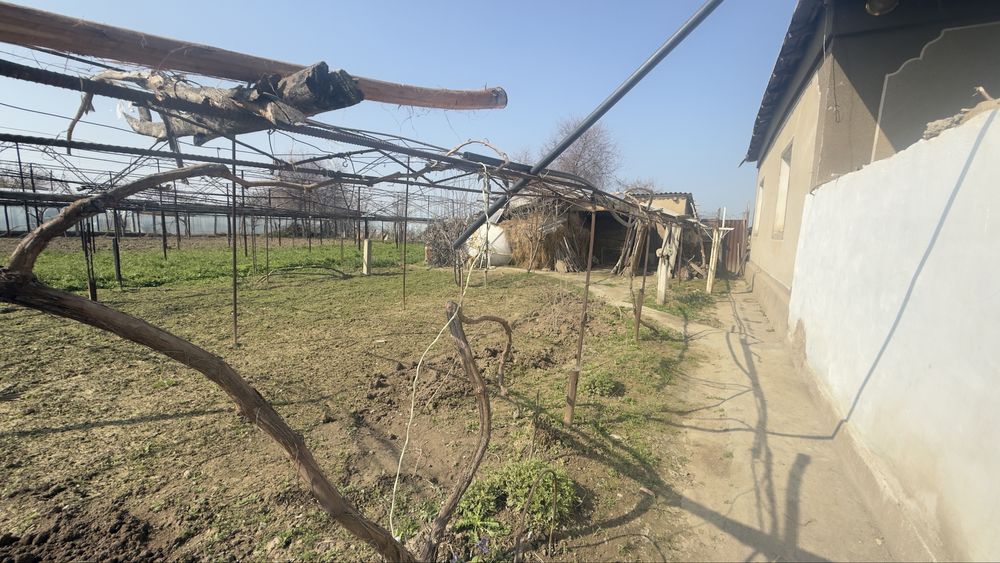 Srochno uy sotiladi 18 sotix hamma sharoyiti bor