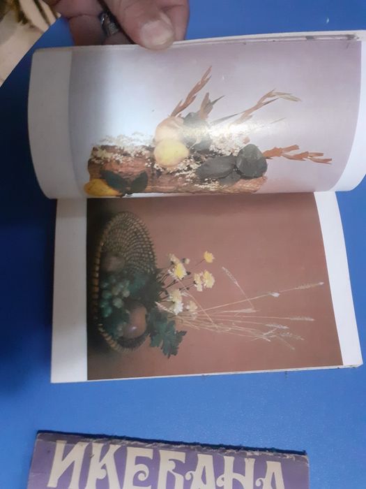 Книги помагала за изкуството  икебана,книга