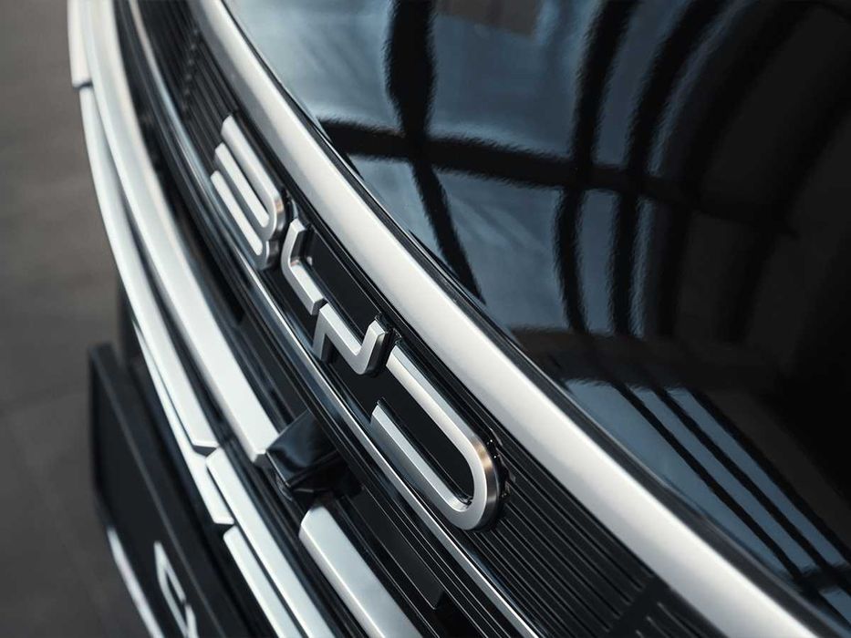 BYD Chazor ( 55 km Luxe )