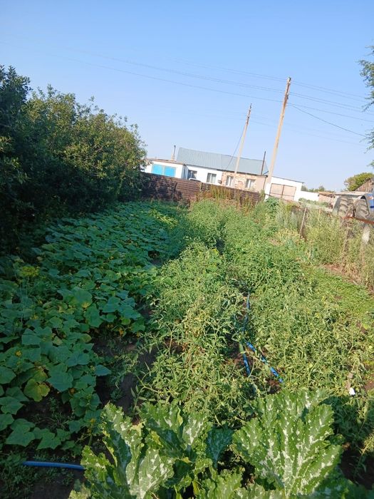 Продам дом в деревне Коянды
