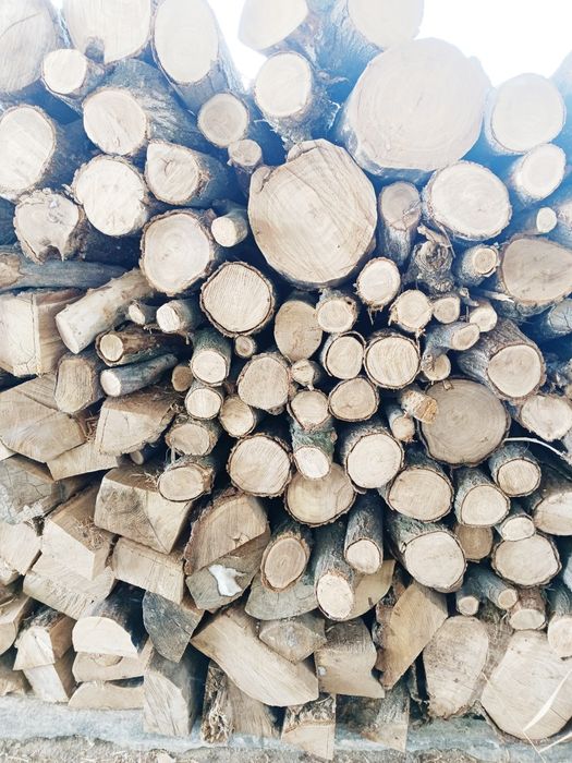 Отын сатамын  Продам дрова