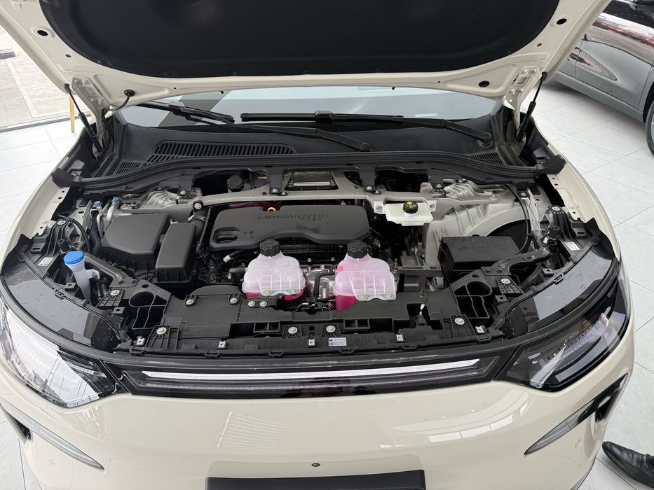 Leapmotor C11 26 restyling Luxury Full