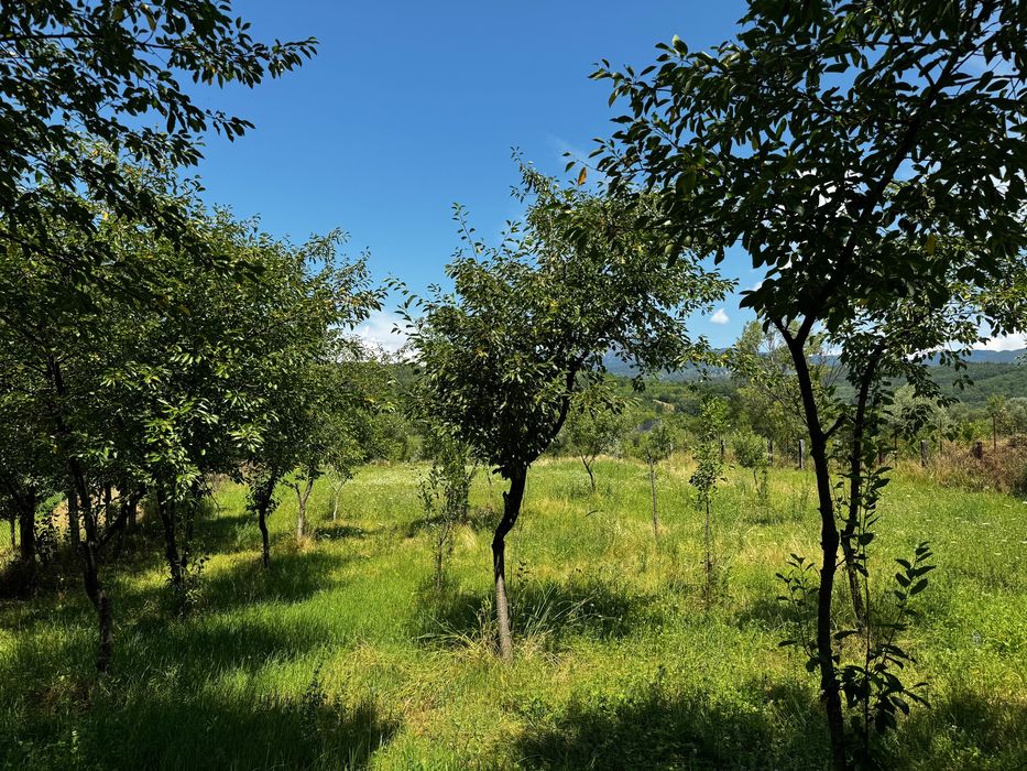 Teren intravilan de vanzare - Salatrucel, Valcea