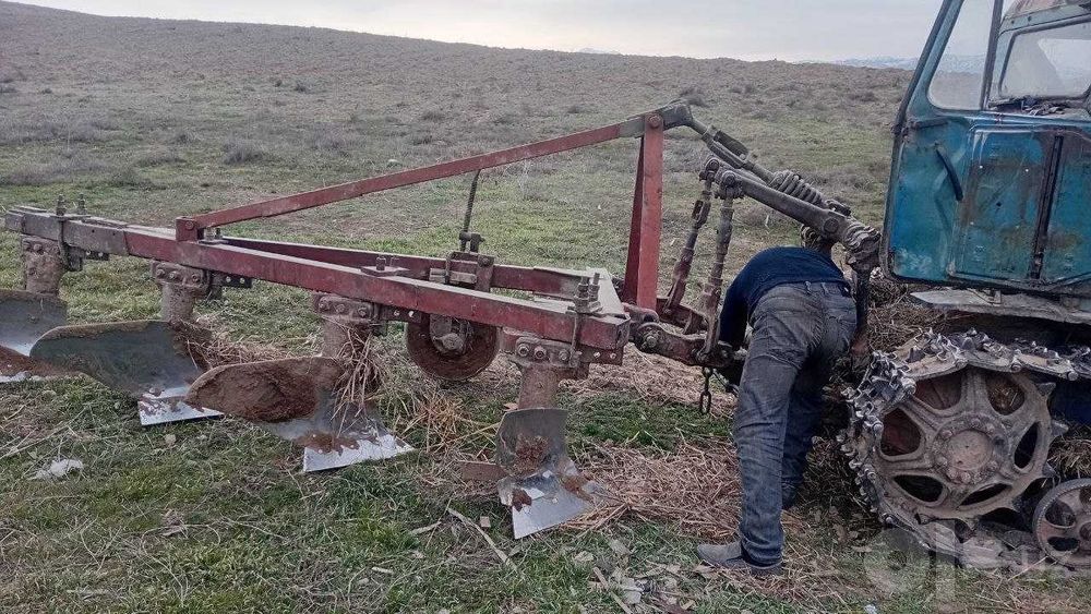 ijaraga yer 50gektar